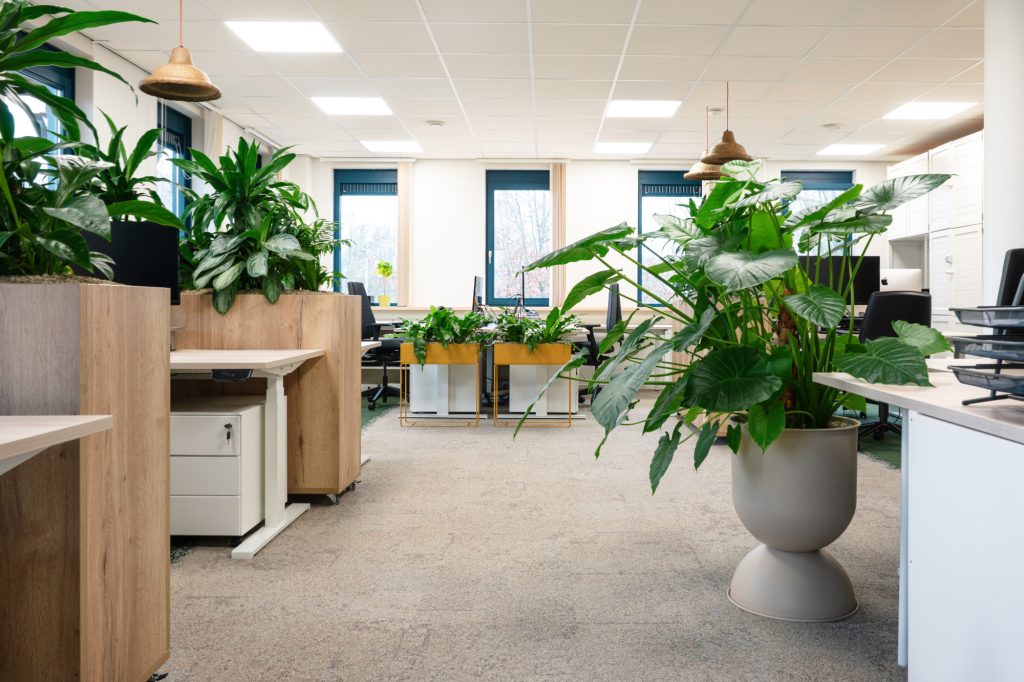 Interieurontwerp op duurzame wijze van kantoor in Achterhoek met biobased en lokale agrarische materialen. Duurzame interieurarchitectuur