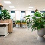 Interieurontwerp op duurzame wijze van kantoor in Achterhoek met biobased en lokale agrarische materialen. Duurzame interieurarchitectuur